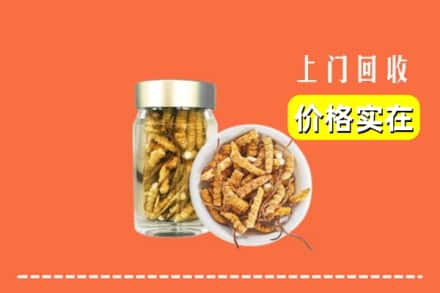 收购资讯:长治屯留区回收散虫草
