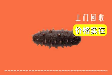 收购资讯:长治屯留区回收海参