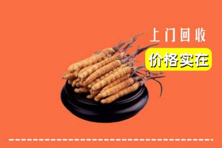 长治屯留区回收冬虫夏草